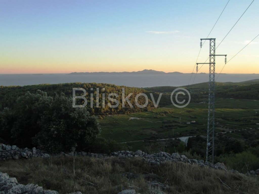 Image 1806665 - 3