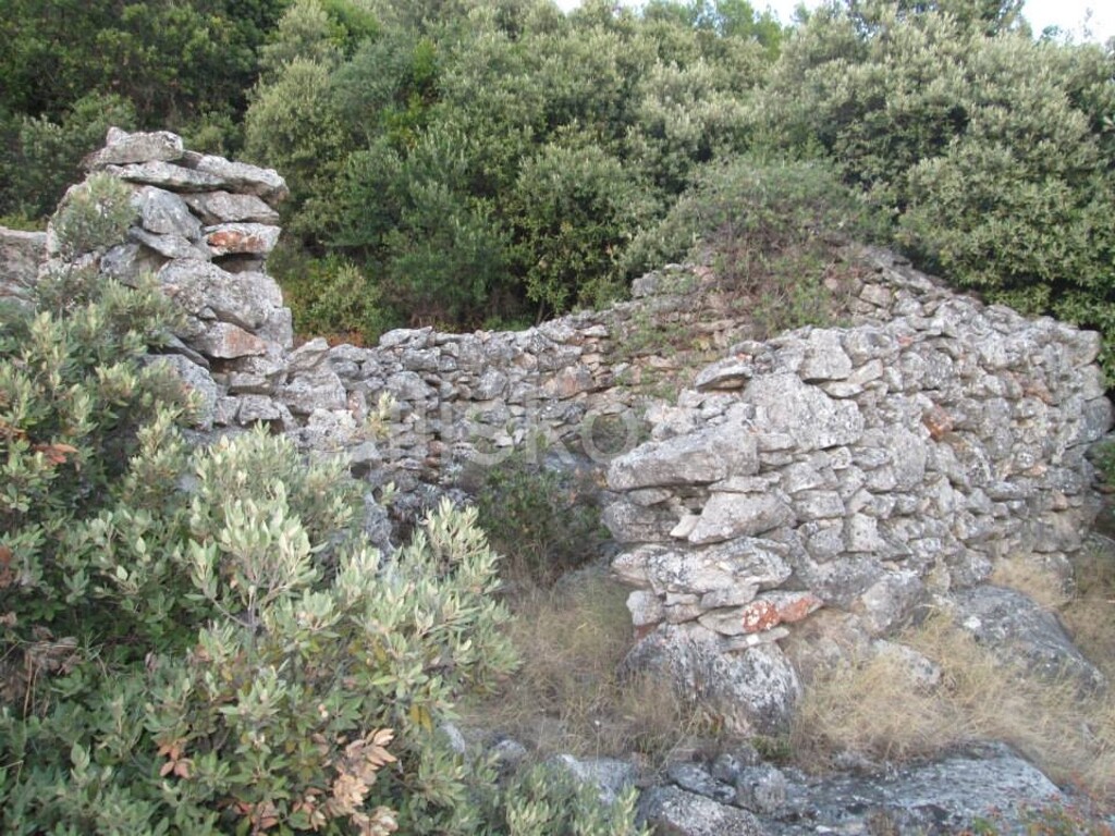 Image 1806665 - 4