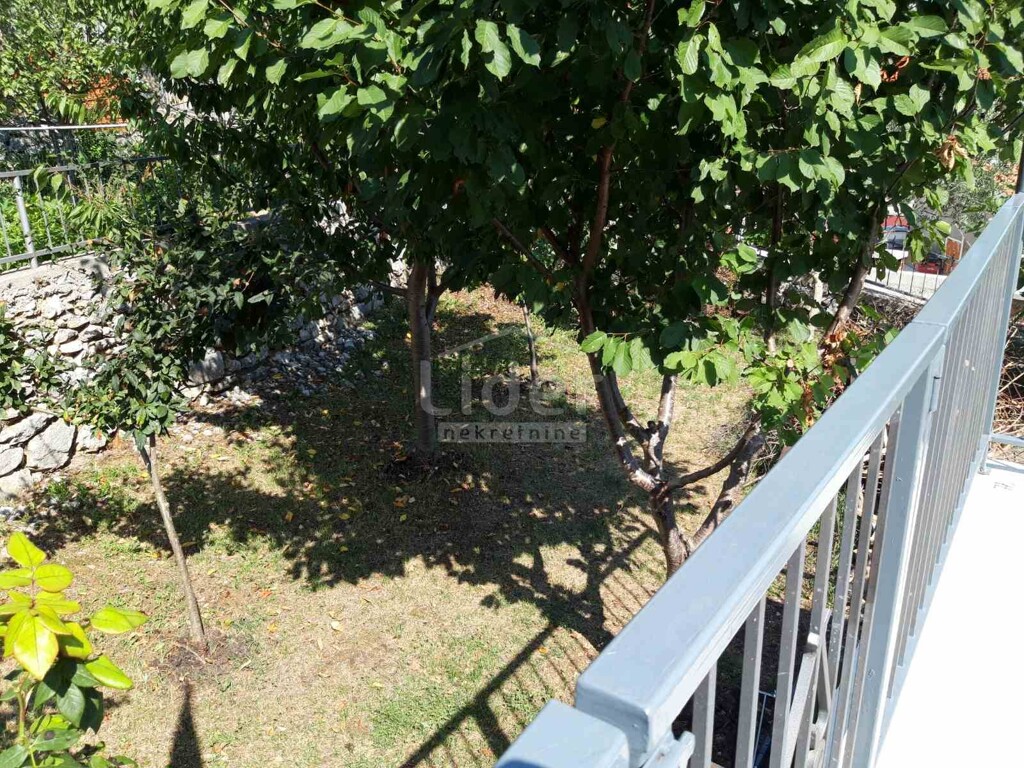 Image 1815948 - 3