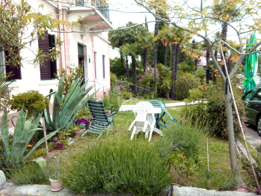 Image 1842586 - 2