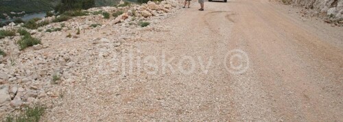 Thumbnail 1864503 - 3