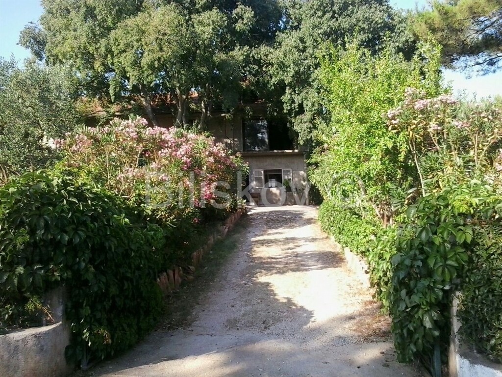 Image 1864919 - 3