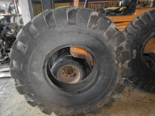 GUMA 16,00 24