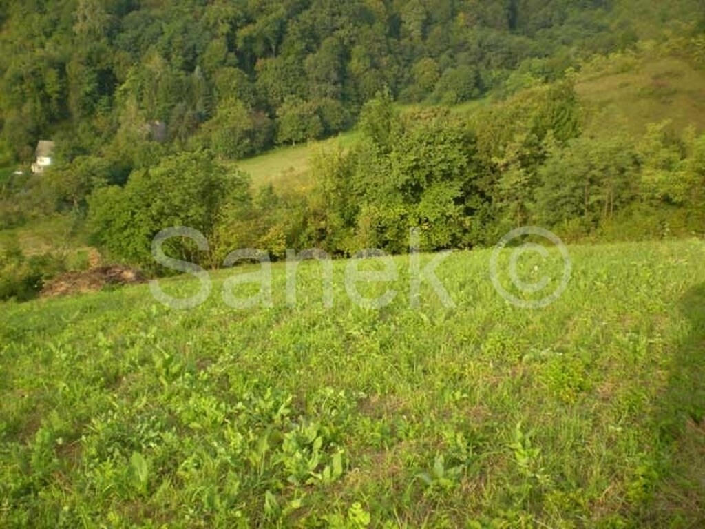 Image 2116966 - 2