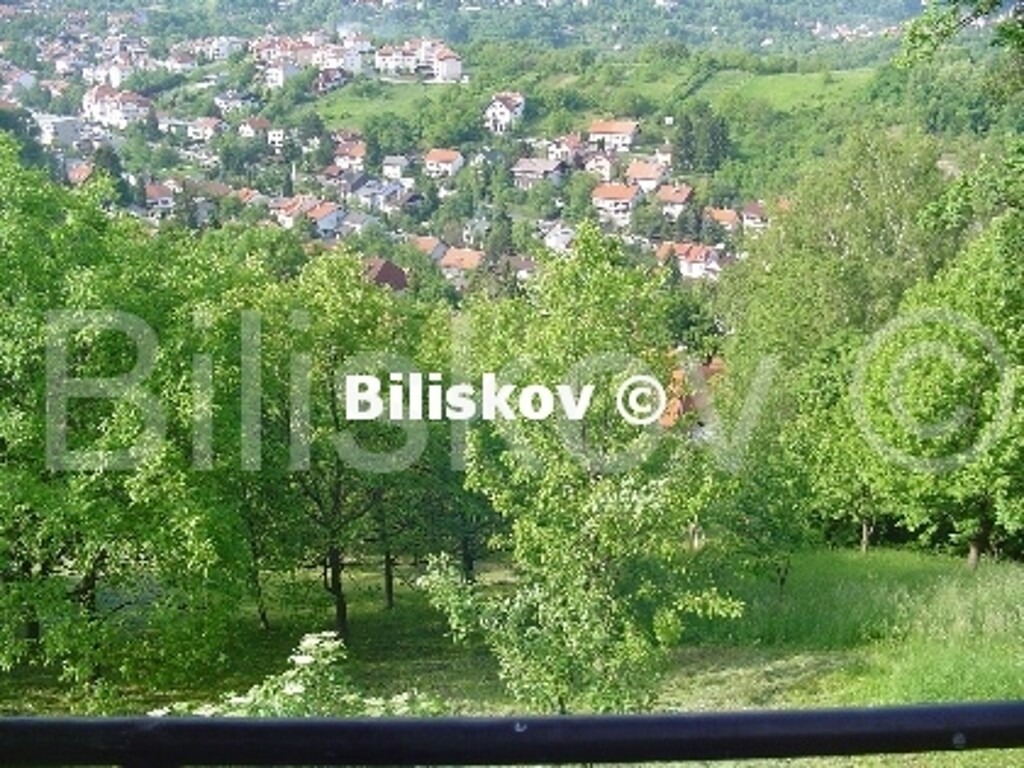 Image 2156736 - 1