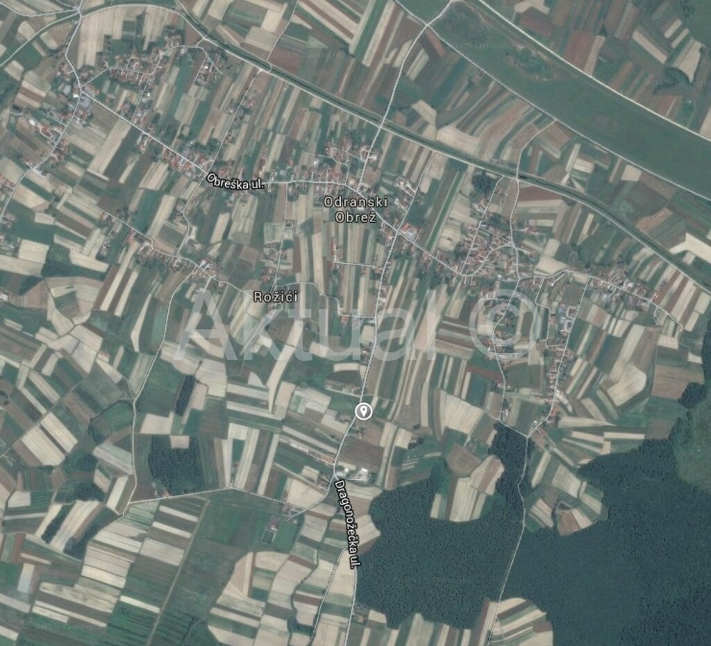 Image 2163818 - 1