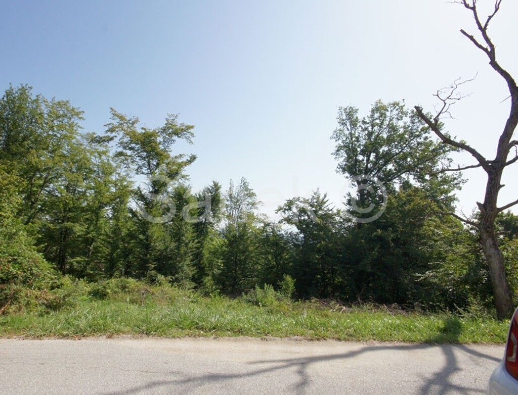 Image 2171961 - 4