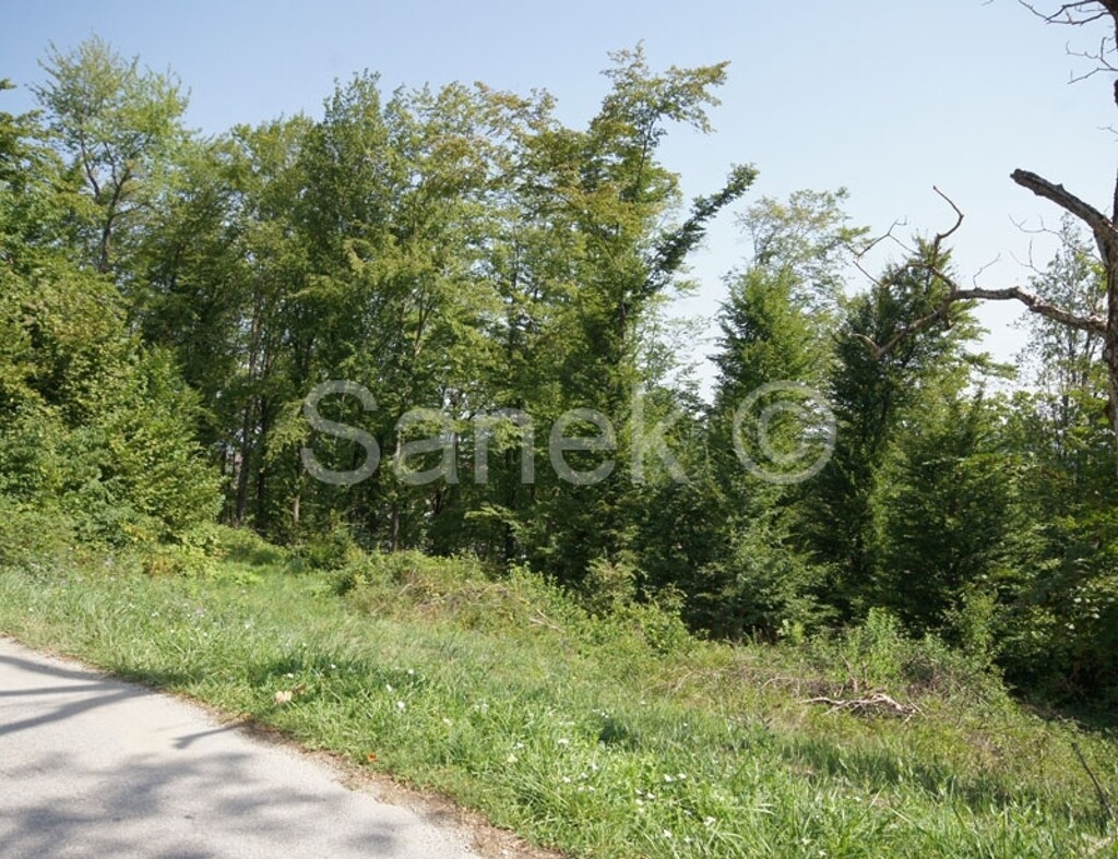 Image 2171961 - 3