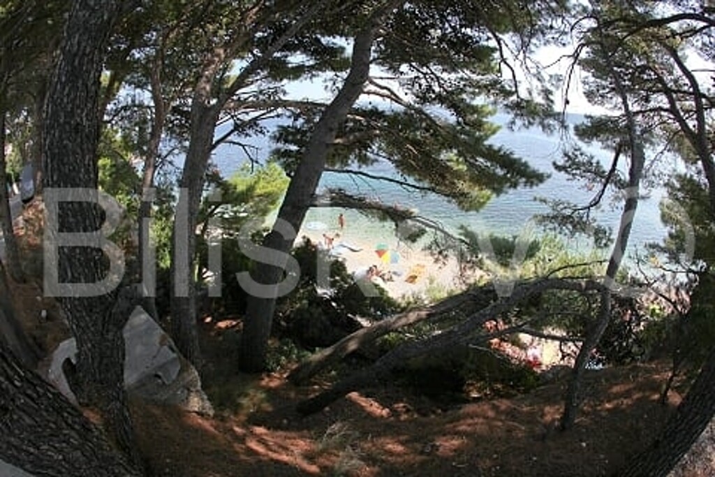 Image 2291185 - 22