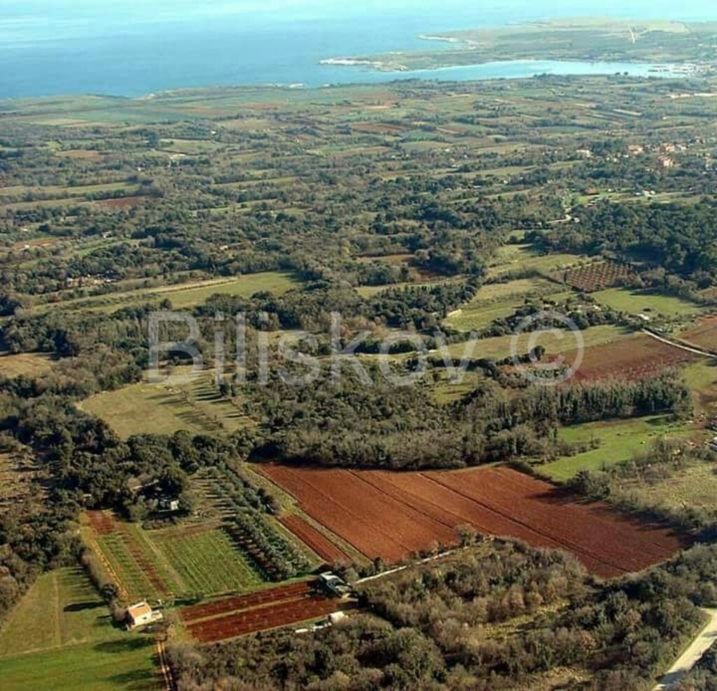 Image 2311529 - 1