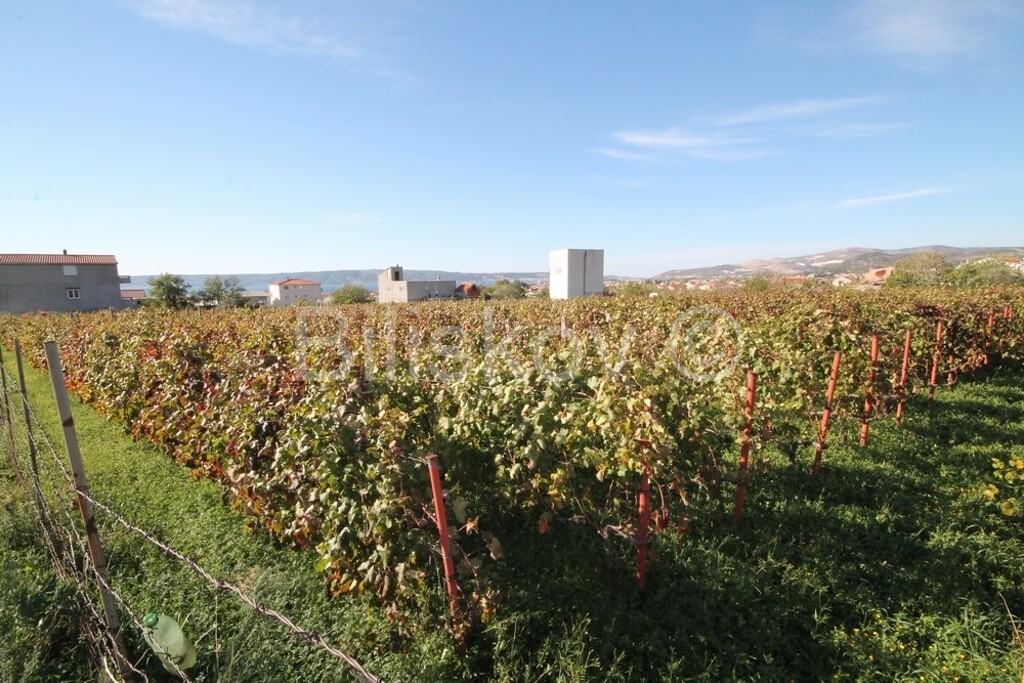 Image 2344810 - 5