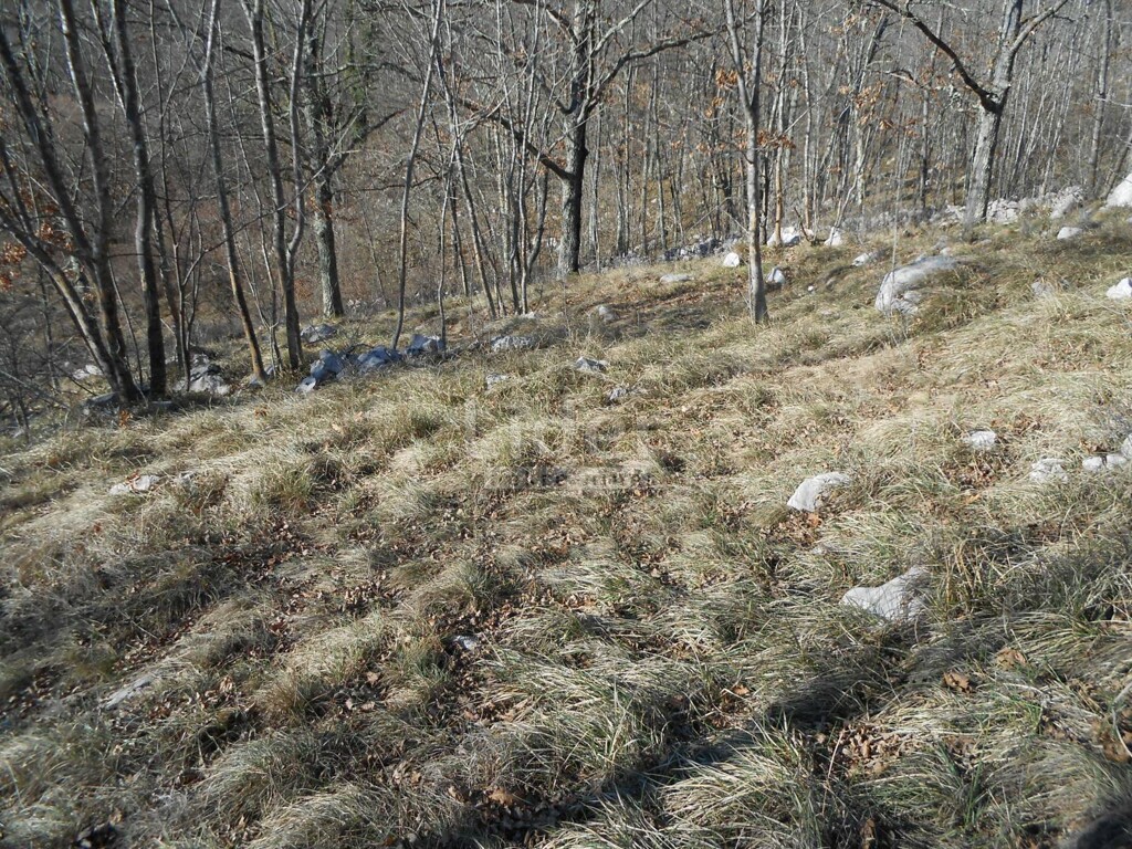 Image 2345478 - 3