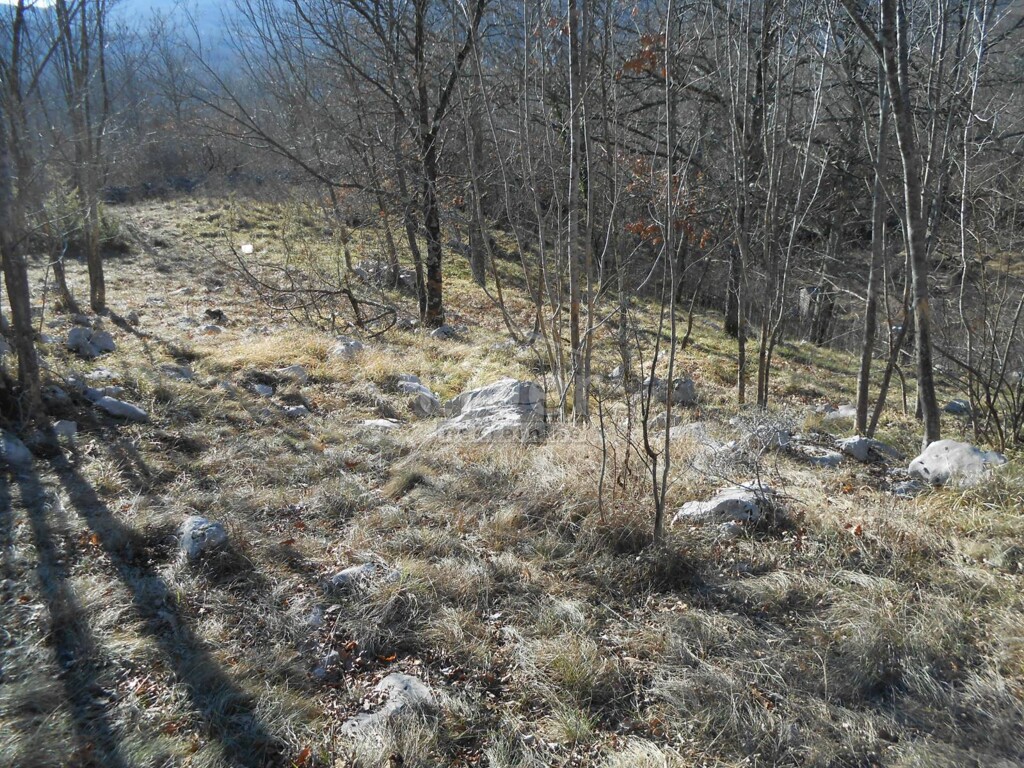 Image 2345478 - 4