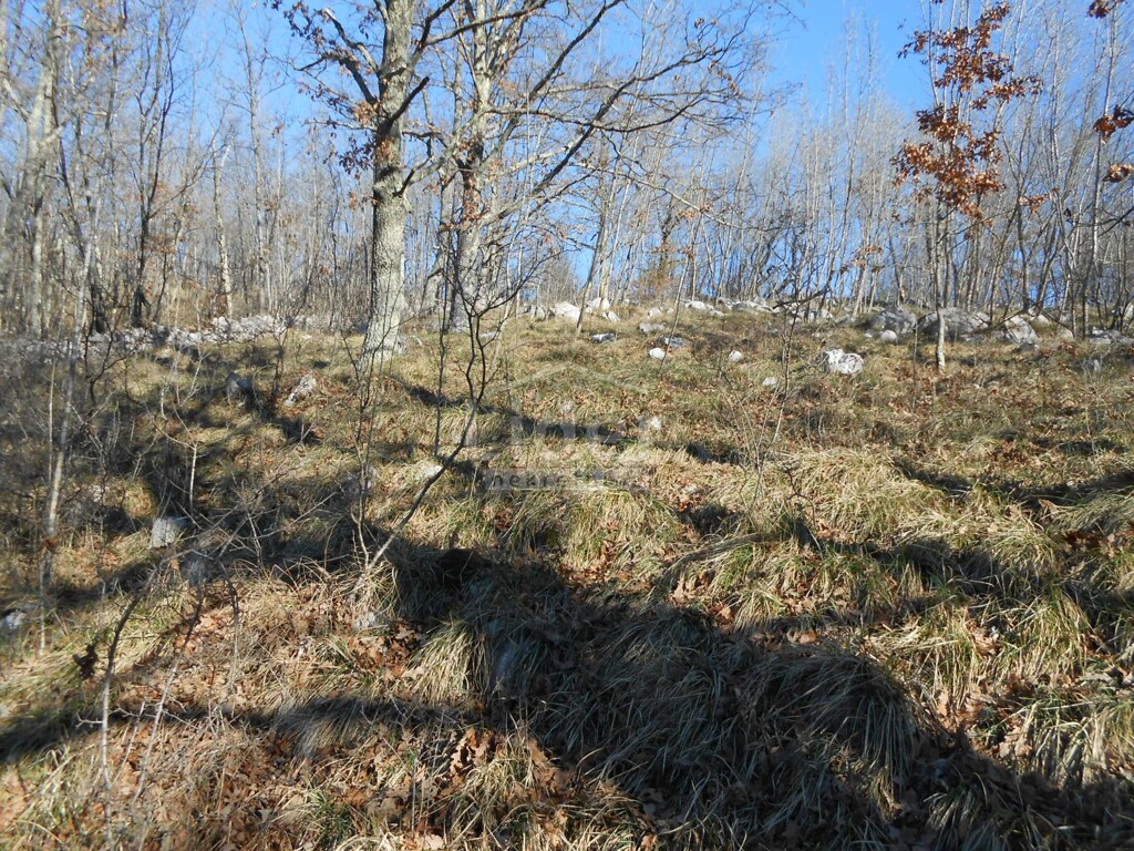 Image 2345478 - 6