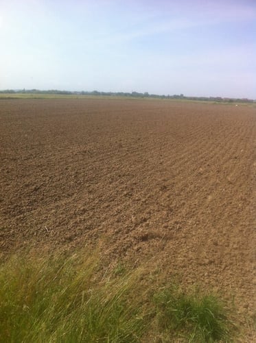Velika Mlaka, poljoprivredno zemljište 10.582m2