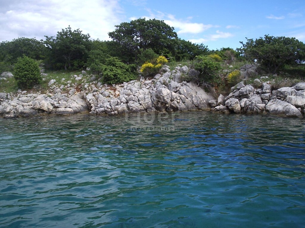 Image 2546691 - 6