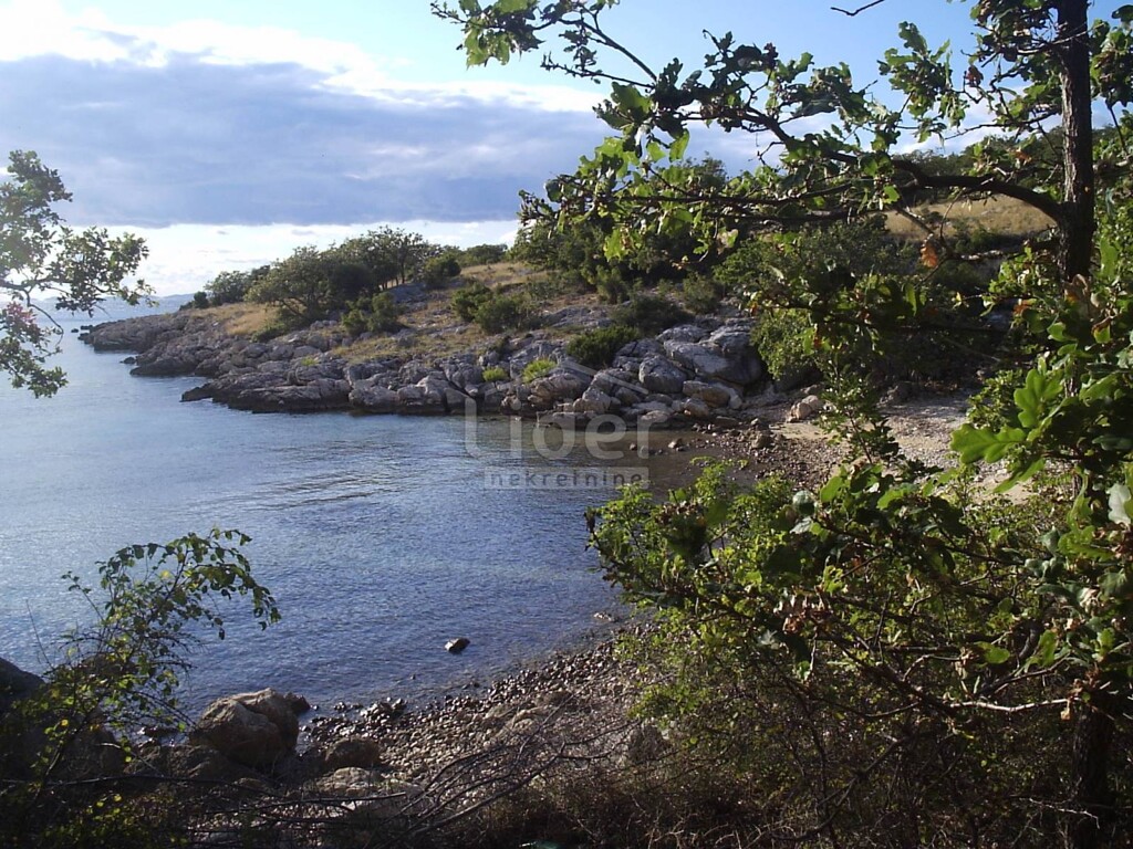 Image 2546691 - 14