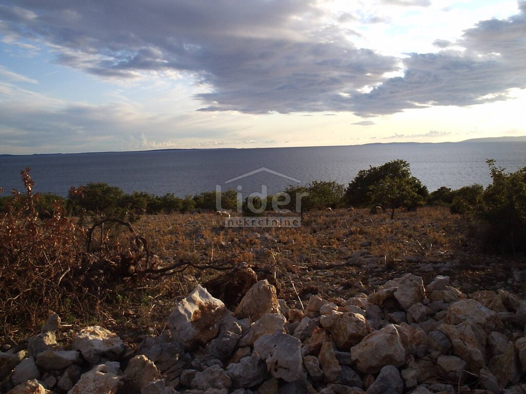 Image 2546691 - 8