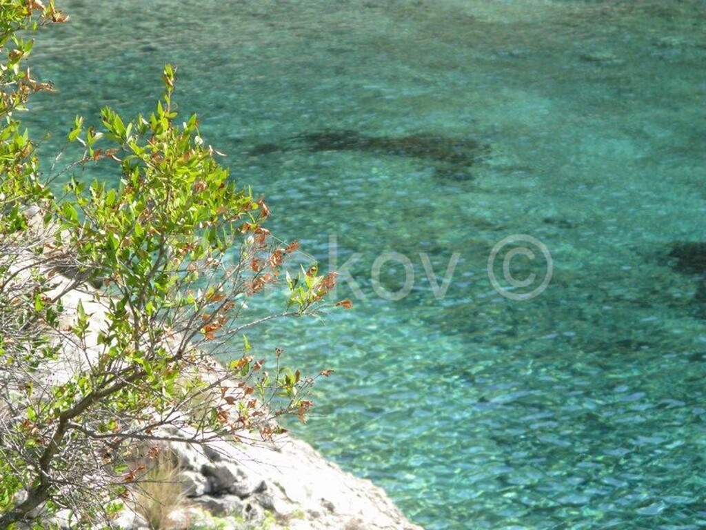 Image 2565551 - 16