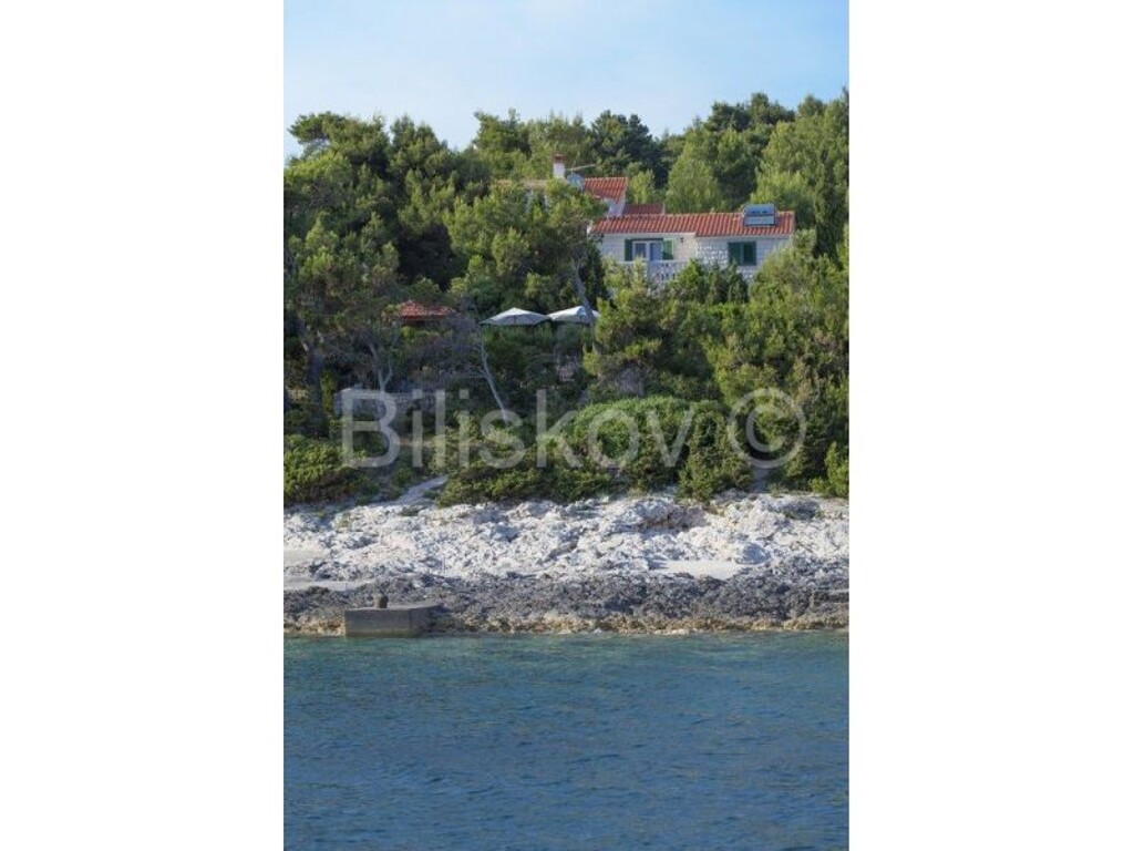 Image 2565557 - 3