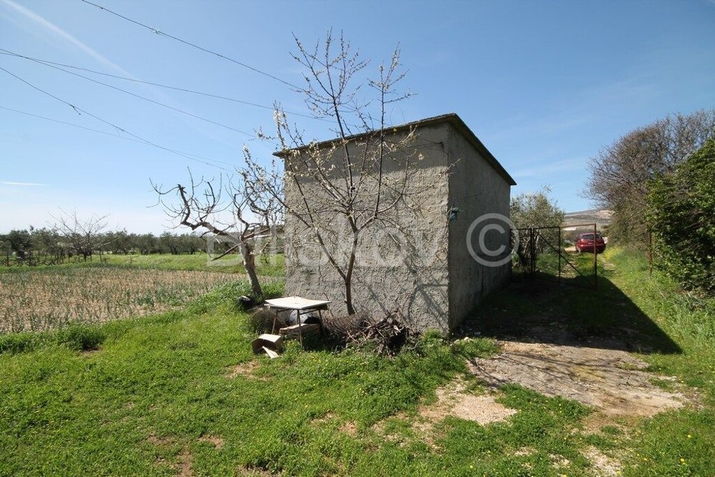 Image 2577158 - 1