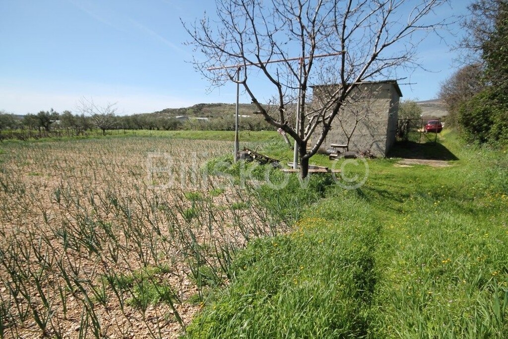 Image 2577158 - 6