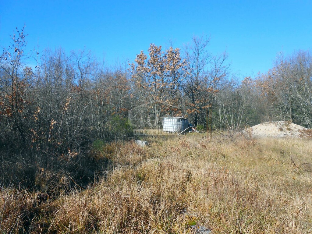 Image 2594282 - 2