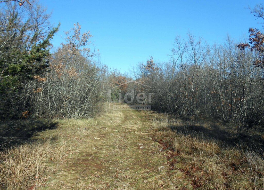 Image 2594282 - 4