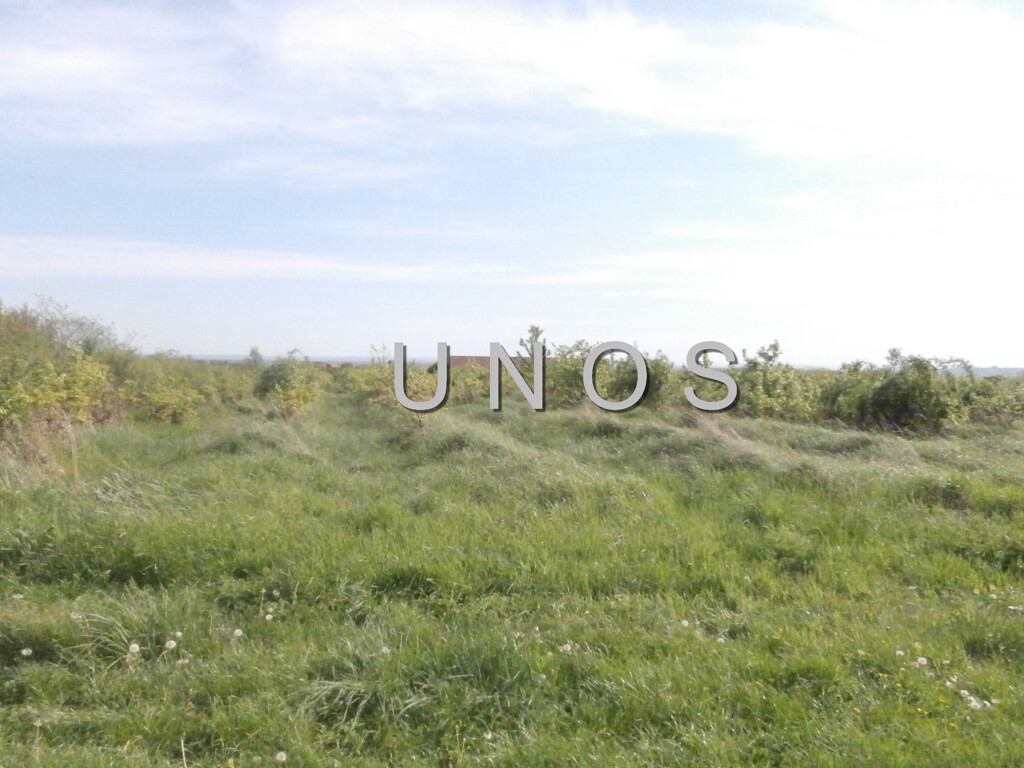 Image 2634589 - 3