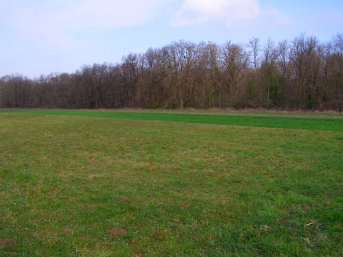 Velika Gorica - okolica, Lazina Čička, poljoprivredno zemljište 2.888 m2