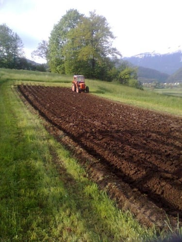 Velika Gorica - okolica, Lazina Čička, poljoprivredno zemljište 2.888 m2