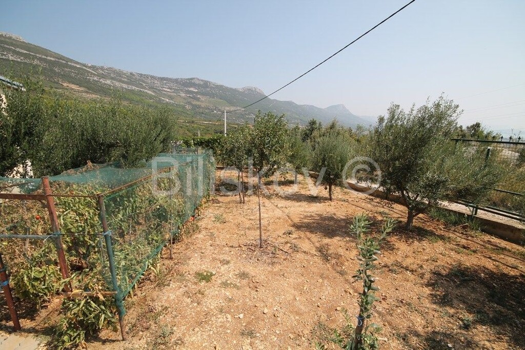 Image 3530004 - 3