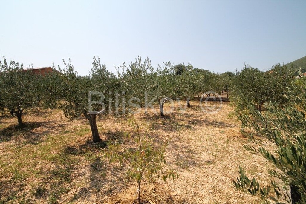 Image 3530004 - 8