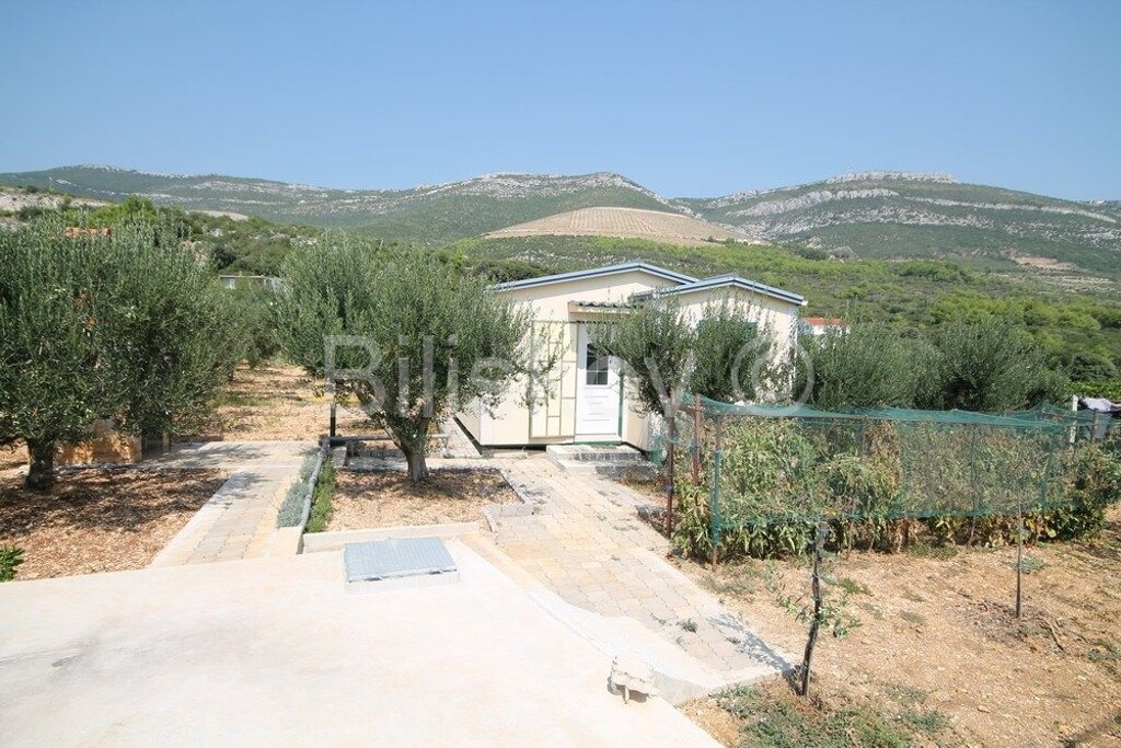 Image 3530004 - 1