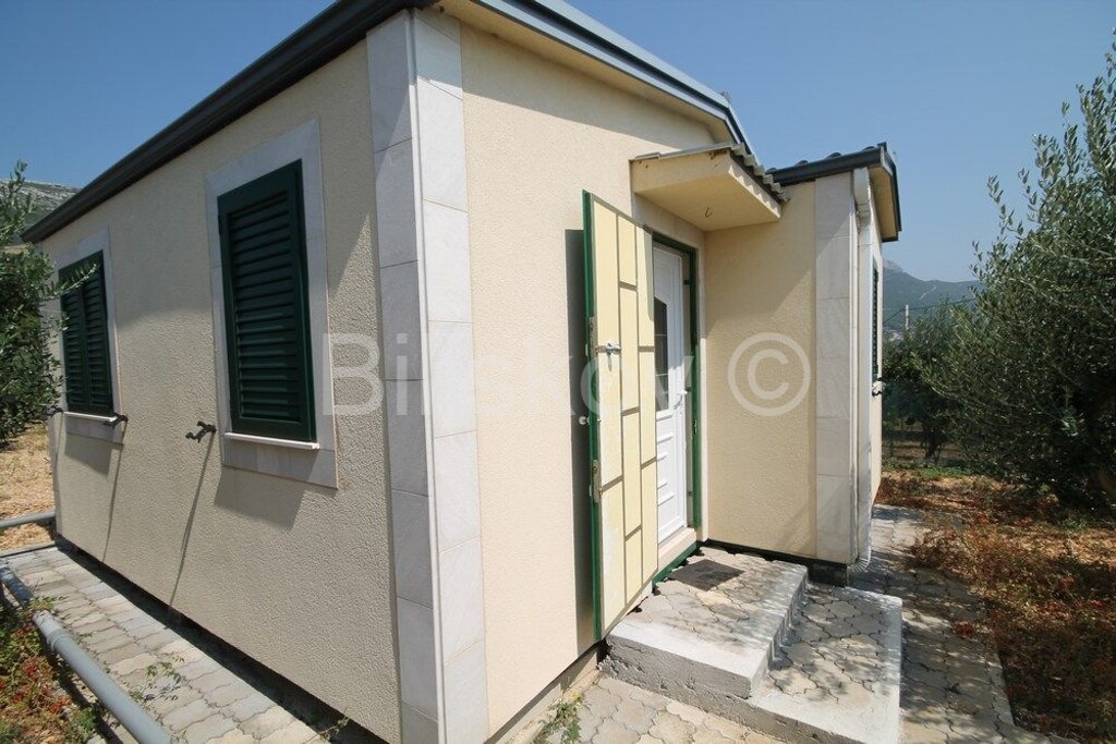 Image 3530004 - 4