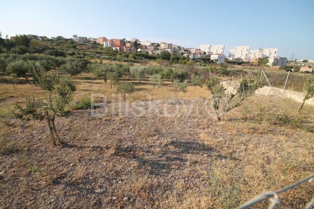 Image 3550048 - 3