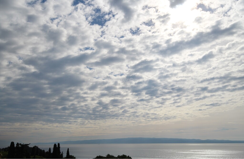 Image 3637945 - 1