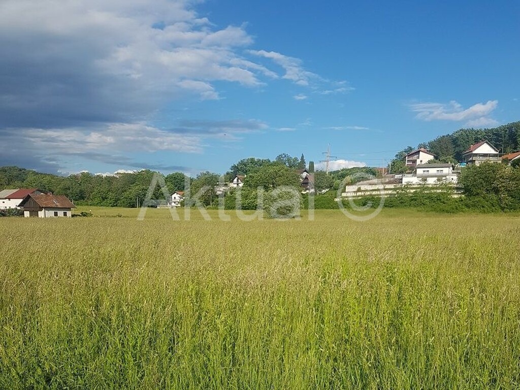 Image 3648516 - 1