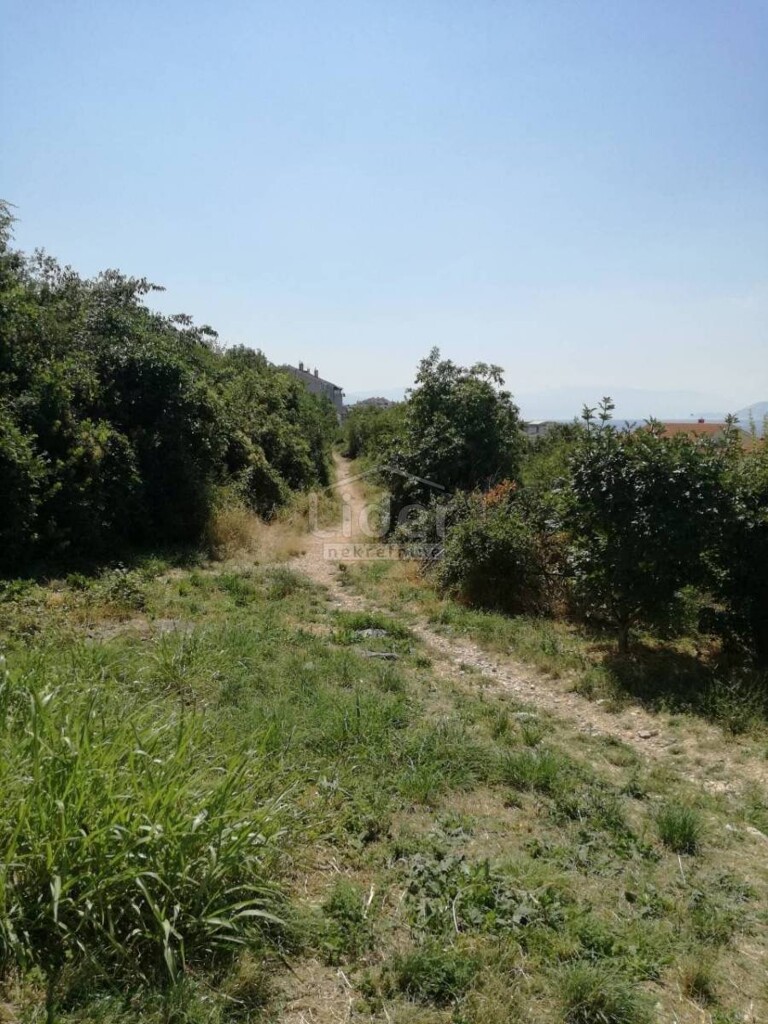 Image 3656805 - 5