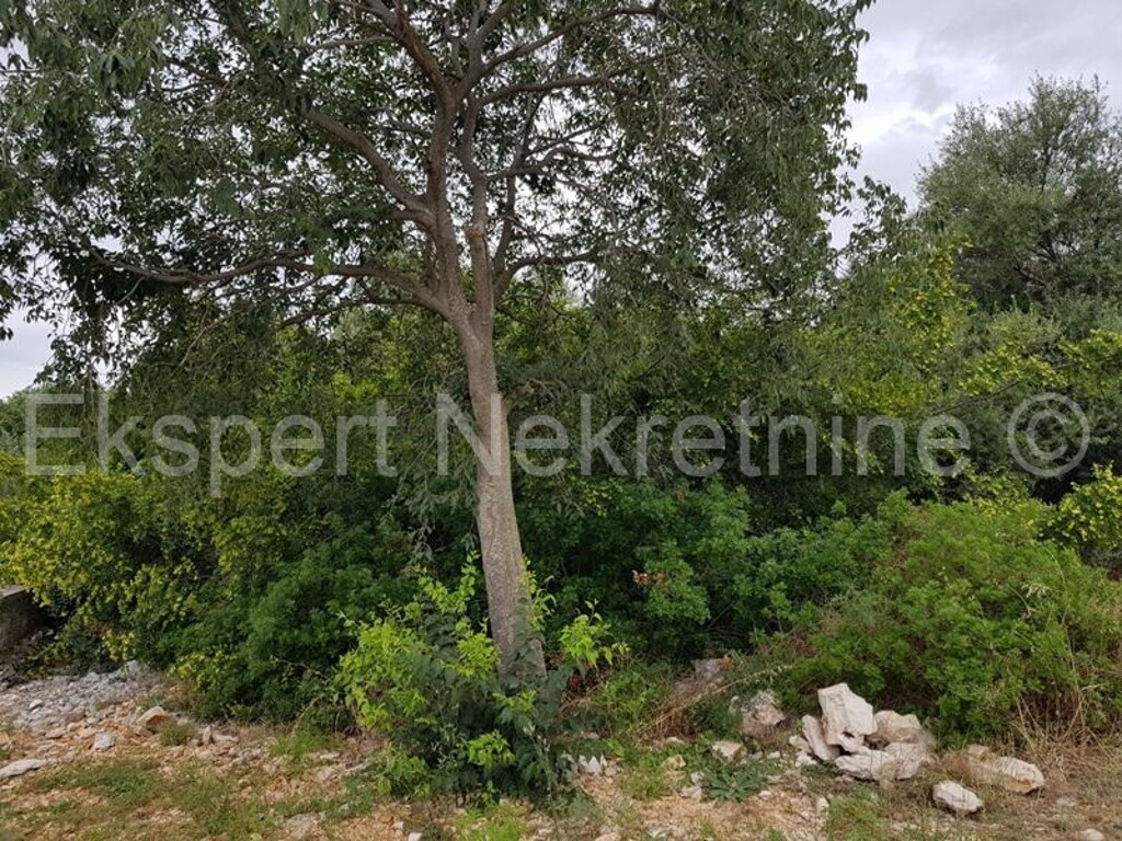 Image 3666906 - 3
