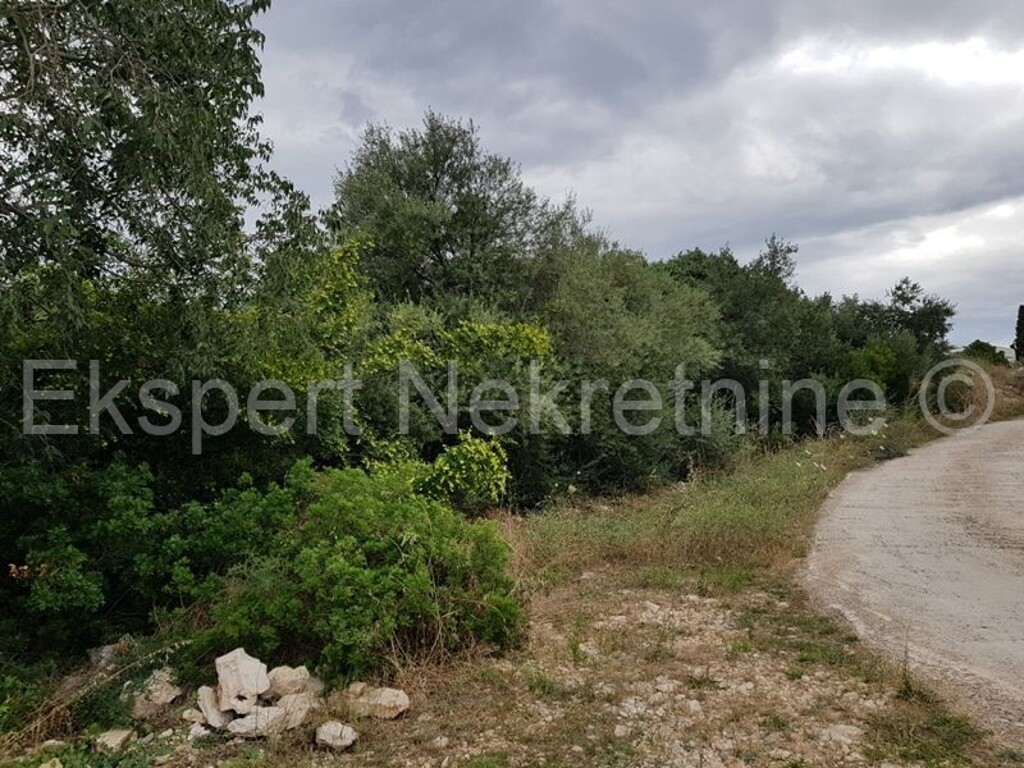 Image 3666906 - 4