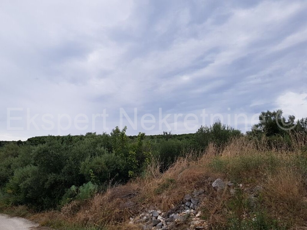 Image 3666906 - 5