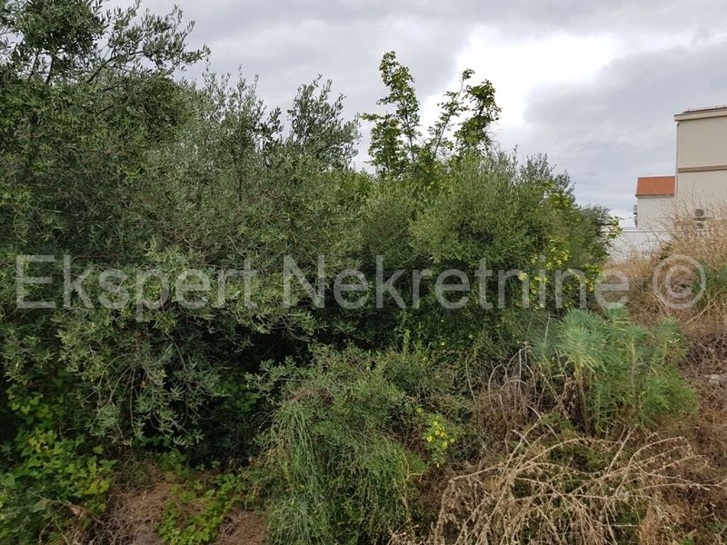 Image 3666906 - 2