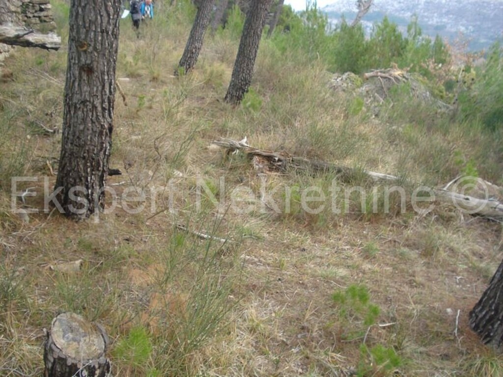 Image 3666988 - 9