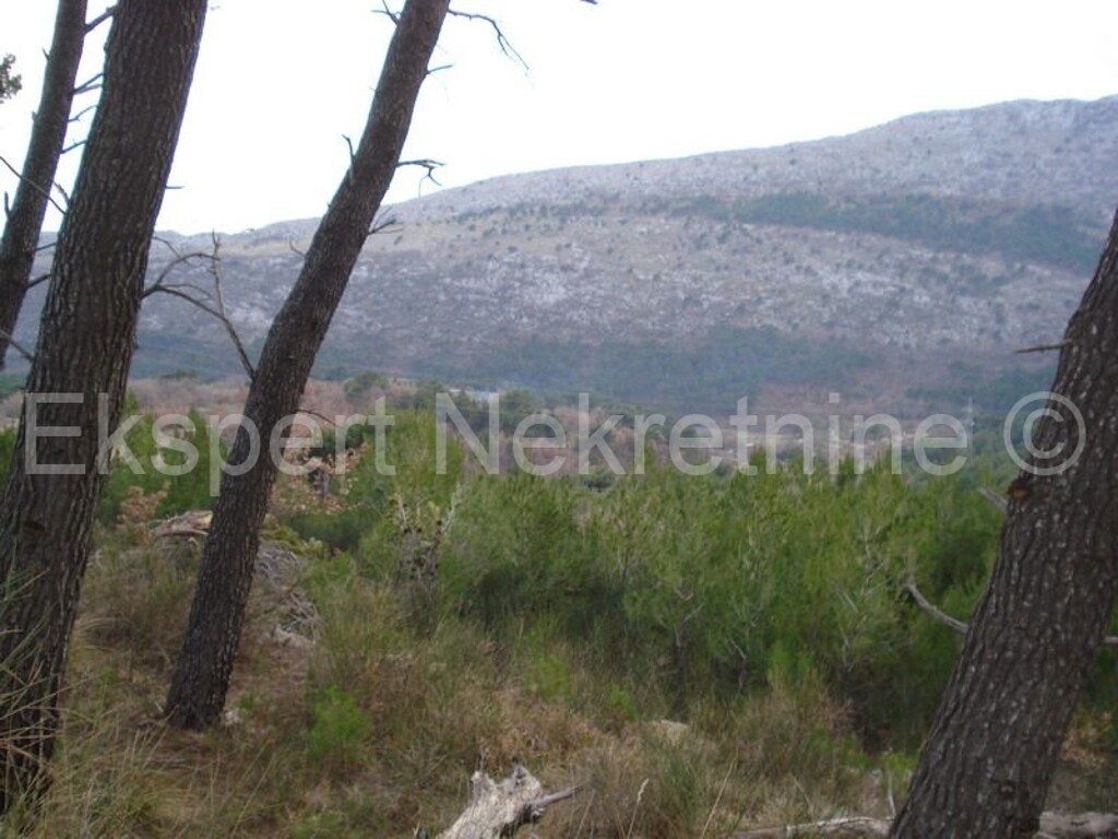 Image 3666988 - 5