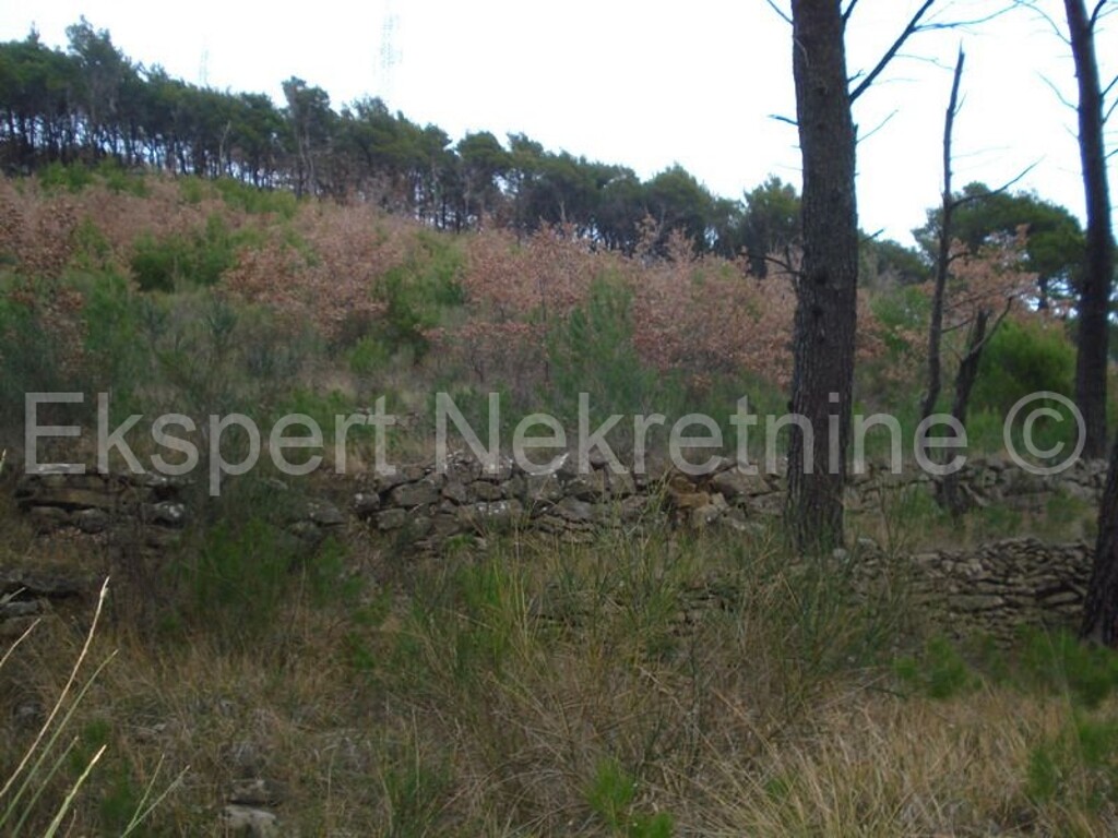 Image 3666988 - 7