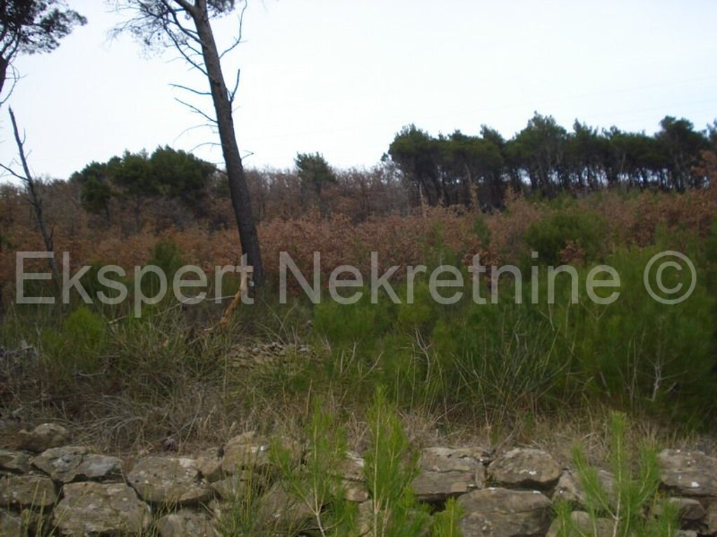 Image 3666988 - 1