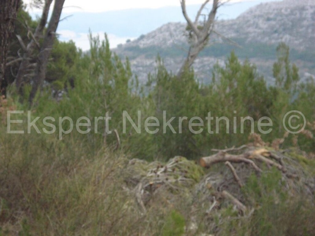 Image 3666988 - 6