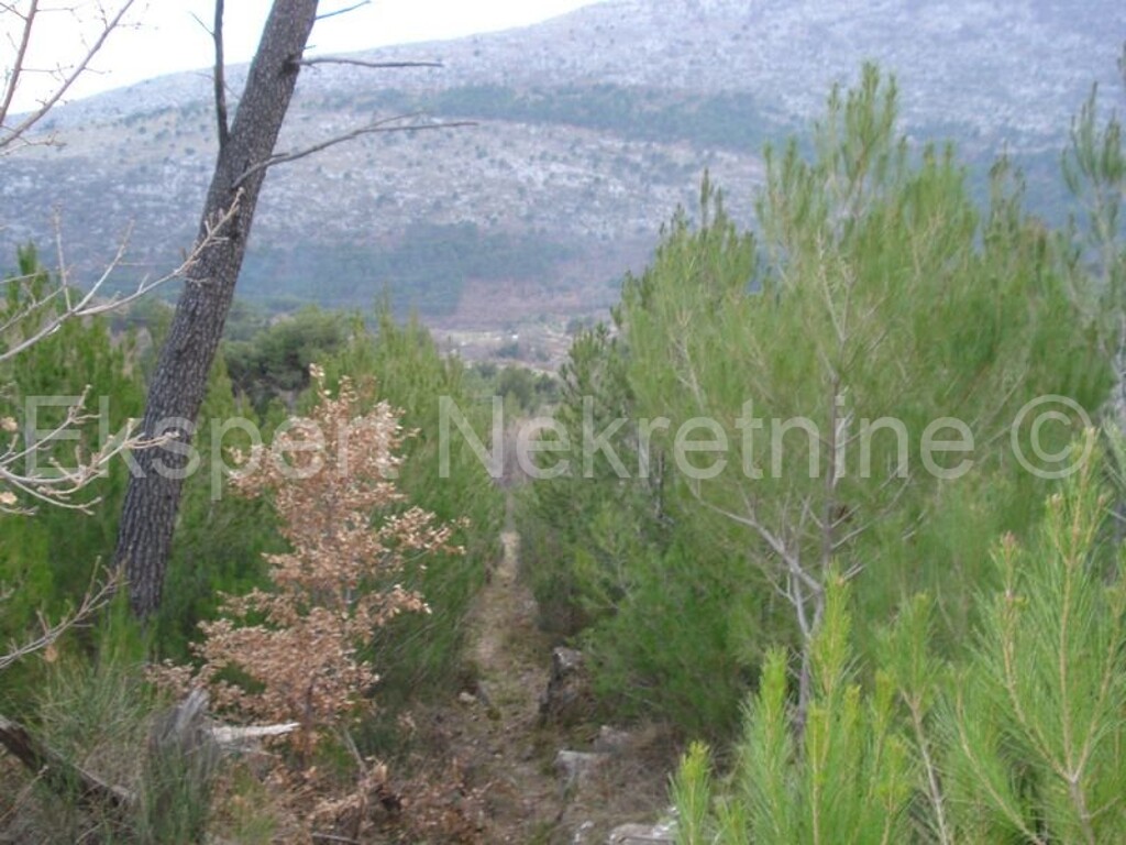 Image 3666988 - 10