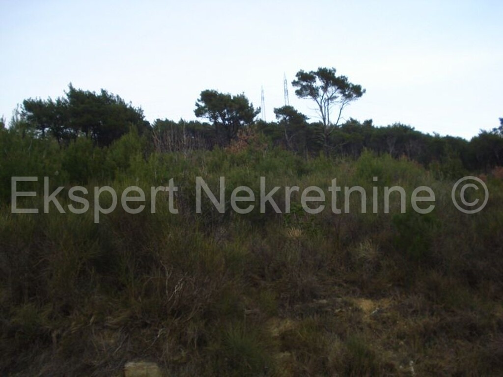Image 3666988 - 14